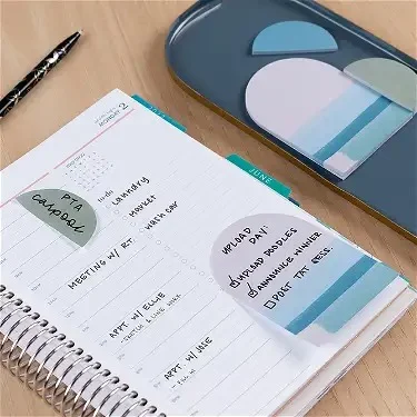 Cool Neutral Sticky Notepad Shapes 3-Pack