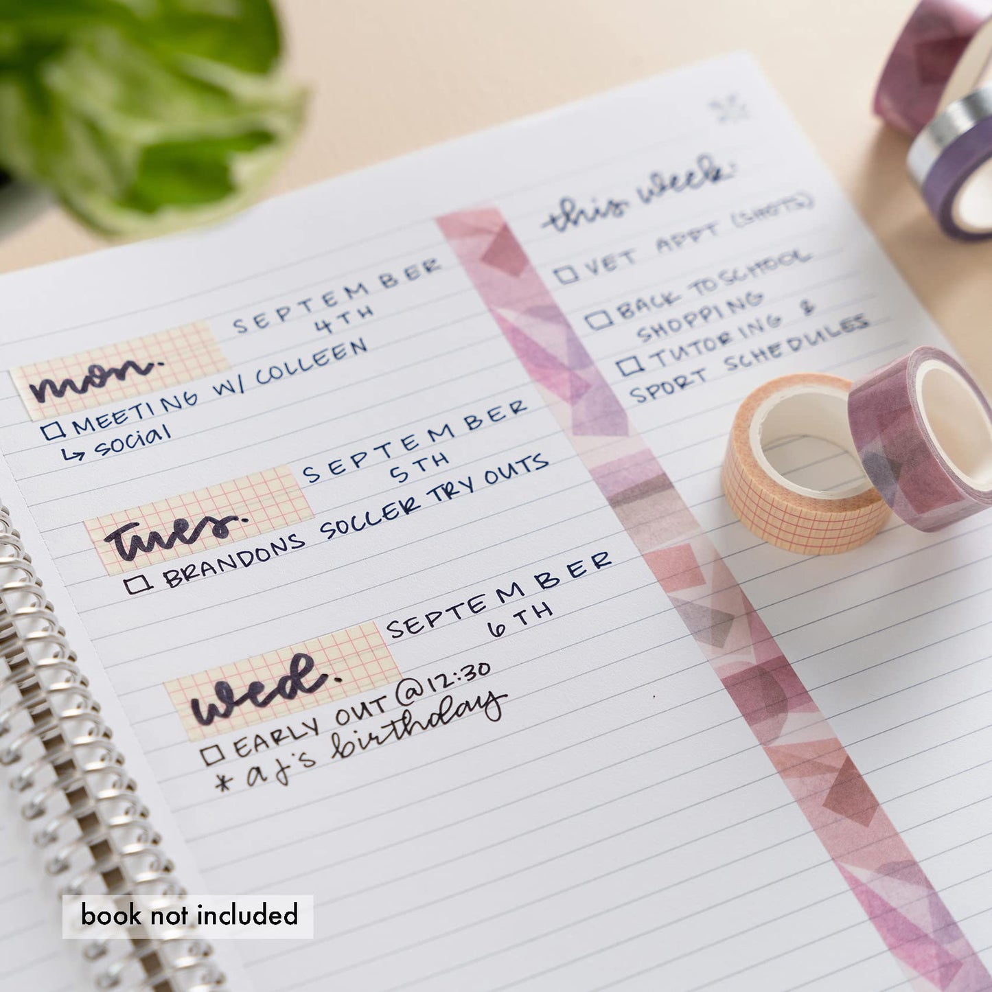 Harmony Neutral Washi Tape 4-Pack