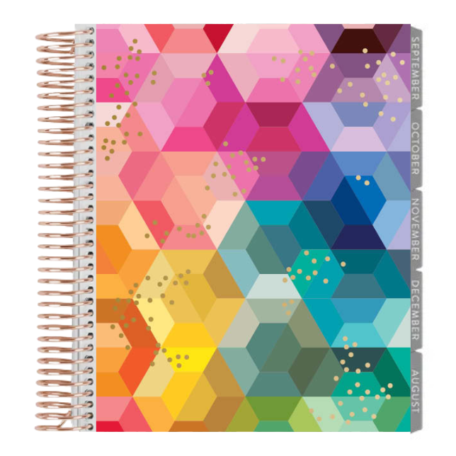 **SPECIAL ORDER** Hexagon Daily Duo LifePlanner™ - Jan 26 to Dec '26