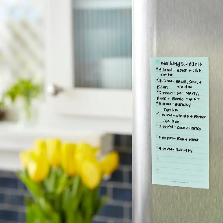 Reusable Sticky Notes - Daily Priorities - Blue – Simply Planned