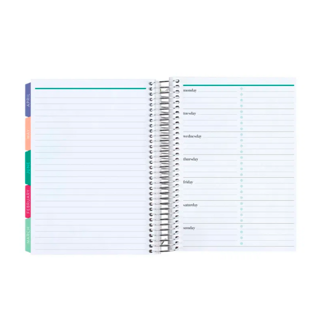 **SPECIAL ORDER** Hexagon A5 Daily LifePlanner™ Duo - Jul '25 to Jun '26