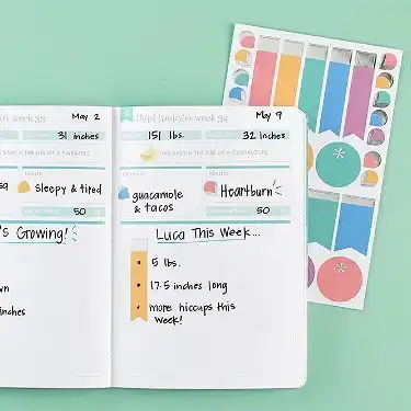 Happy Hues Petite Planner Functional Sticker Park Duo