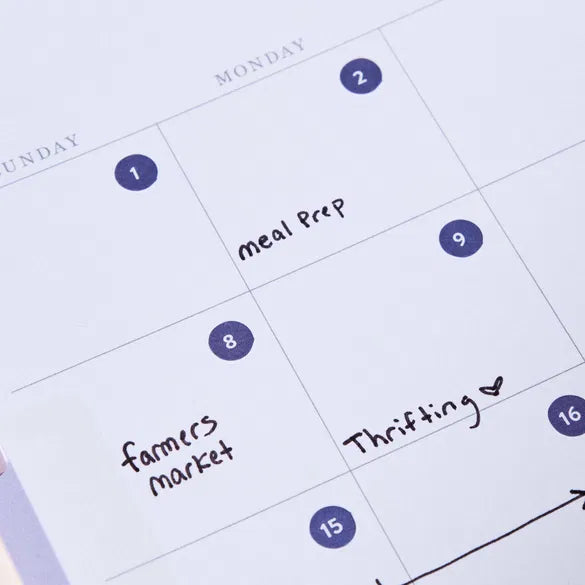 Colourful Date Dots - NEW ARRIVAL