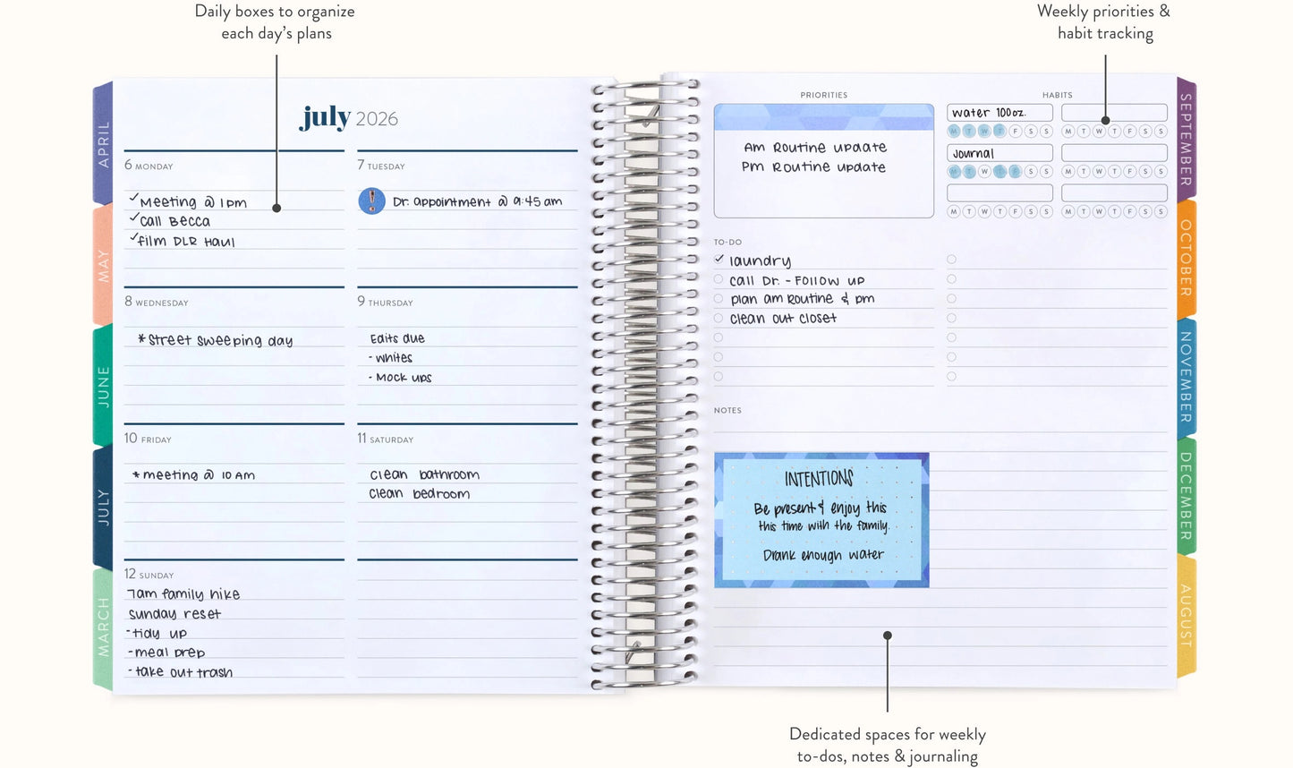 **SPECIAL ORDER** Hexagon Dashboard LifePlanner™ - Jul '25 to Jun '26