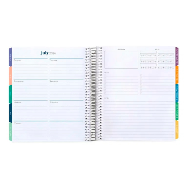 **SPECIAL ORDER** Hexagon Dashboard LifePlanner™ - Jul '25 to Jun '26