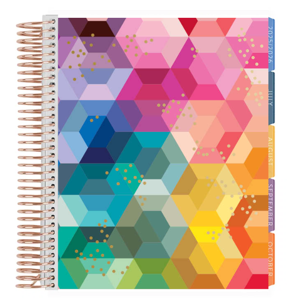 **SPECIAL ORDER** Minimum Hourly LifePlanner™ - Hexagon Interior   - Jul '25 to Jun'26