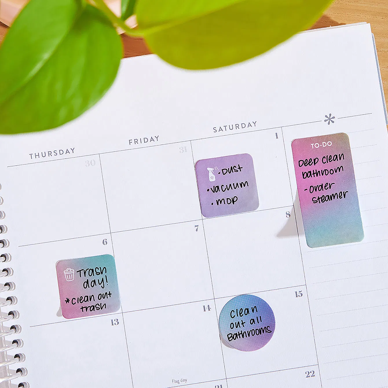 Mini Functional Sticky Notes Box Set