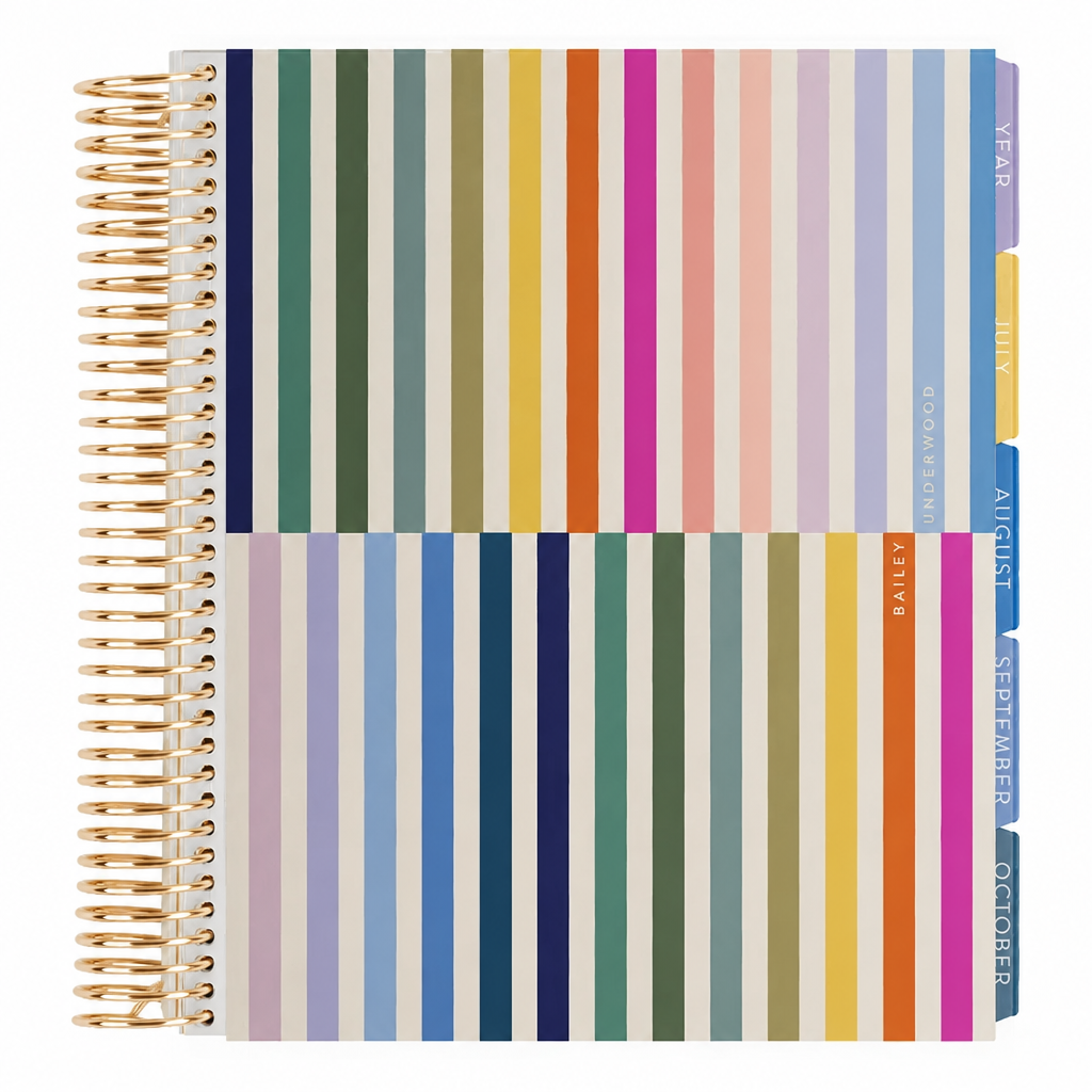 **SPECIAL ORDER** Minimal Vertical Stripe Dashboard LifePlanner™- Jan '27 to Dec '27 cover