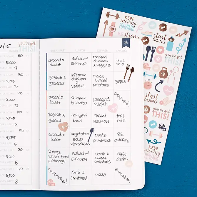 Wellness Log Decorative Petite Planner Sticker 2-Pack