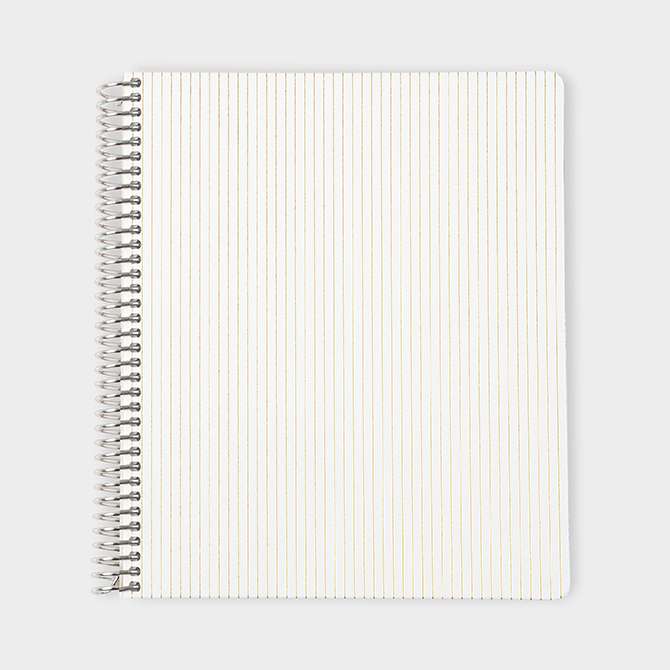 7x9 Pinstripe Coiled Lined Vegan Leather Focused Notebook™